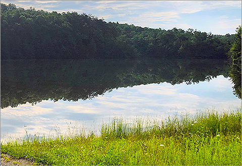The Lake at Meadow Creek