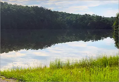 TN Vacations website